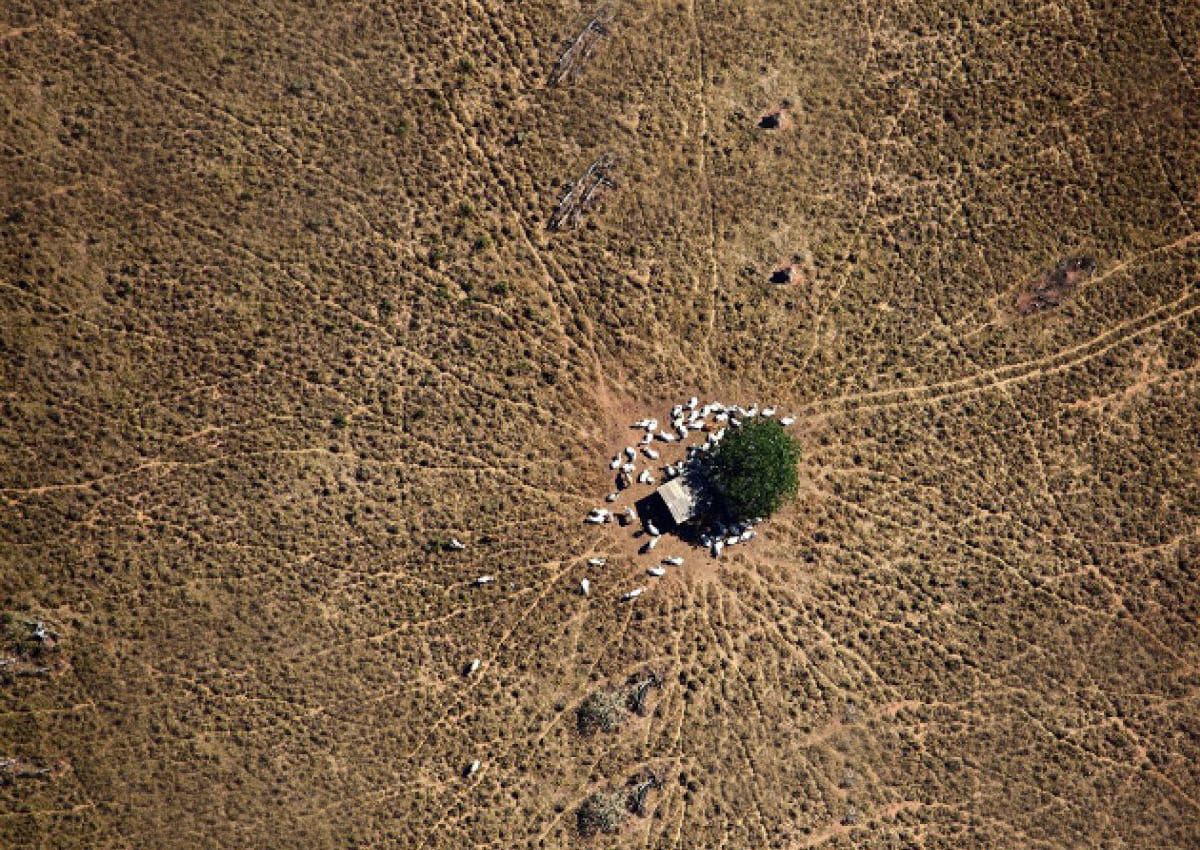  Economía ambiental y políticas públicas