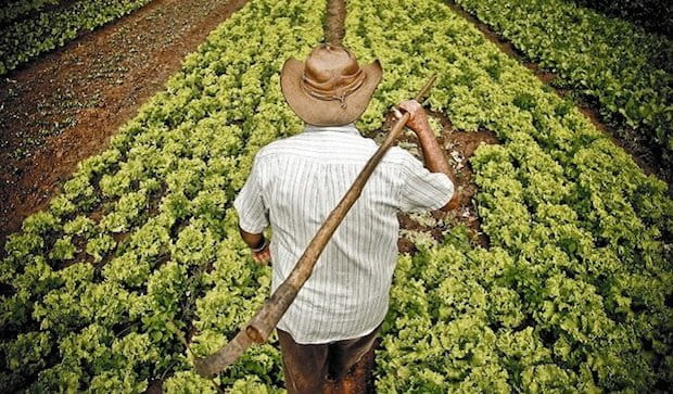  Metodologías para la investigación en agroecología