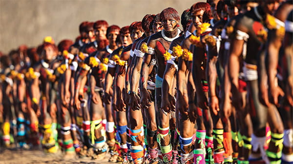  Amazonas: vidas en peligro