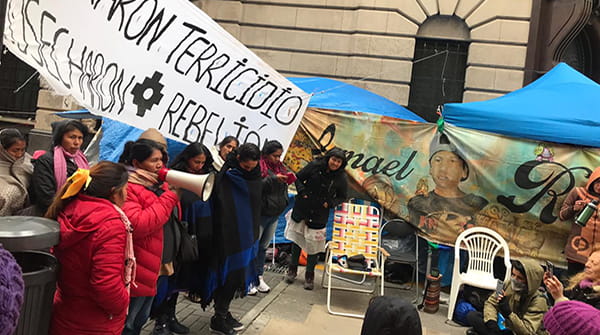  La rebelión de las flores nativas en Argentina