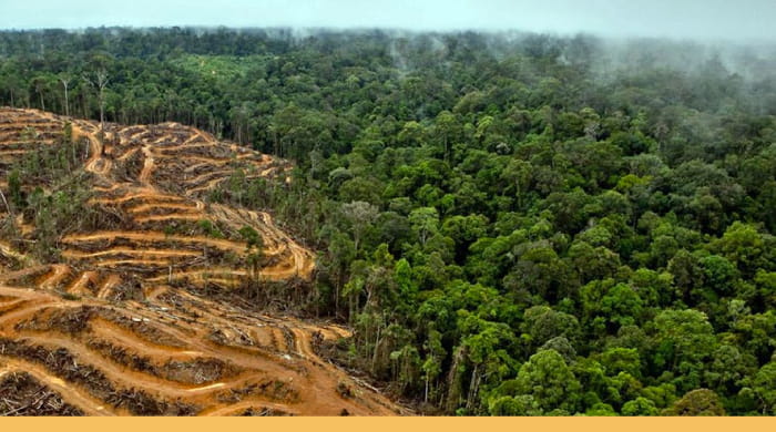  Beca: Expansión mercantil capitalista y la Amazonía como nueva frontera de recursos en el siglo XXI