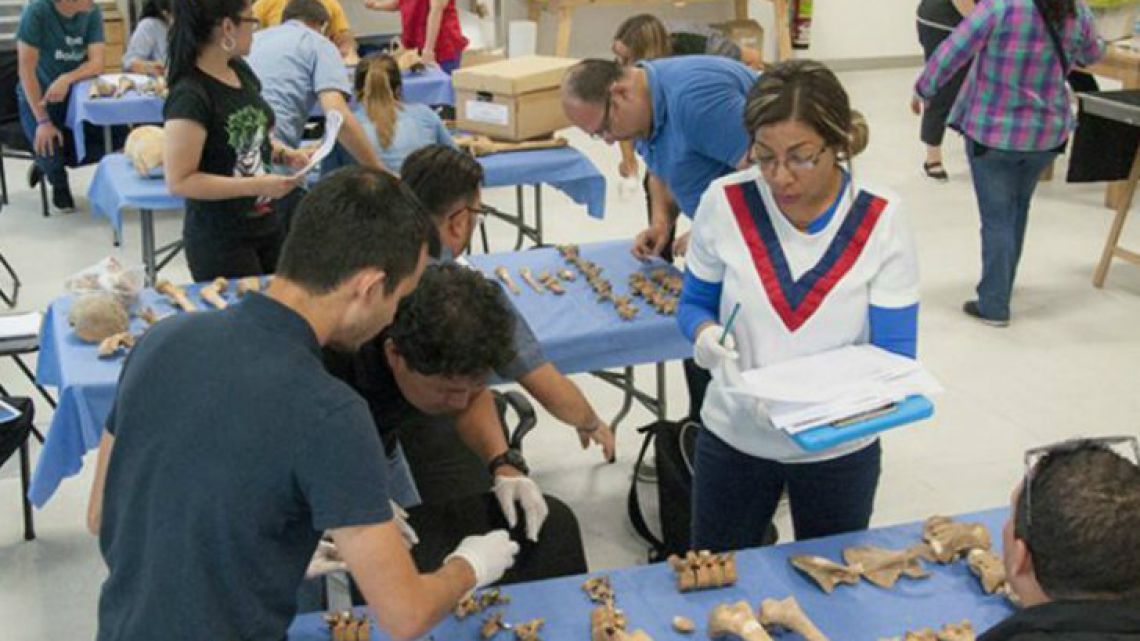  “Argentine Forensic Anthropology Team nominated for Nobel Peace Prize”