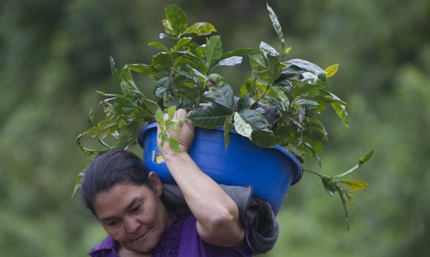  El deseo que moviliza la lucha de las mujeres comunales en Honduras