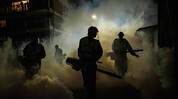  Experiencia inédita. COVID-19