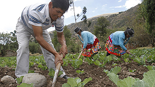  La agroecología como estrategia para tiempos críticos