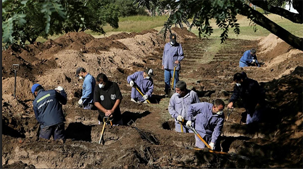  Covid-19 (I): La autoconservación social