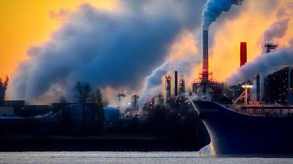  Interdependencia de la vida humana / no-humana: COVID-19 e hipótesis en disputa