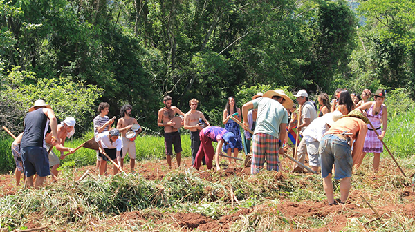  A Agroecologia nos tempos do COVID-19