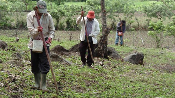  Los Pasos del Jaguar frente a la pandemia del COVID-19