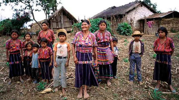  Los pueblos indígenas de México ante la pandemia Covid-19