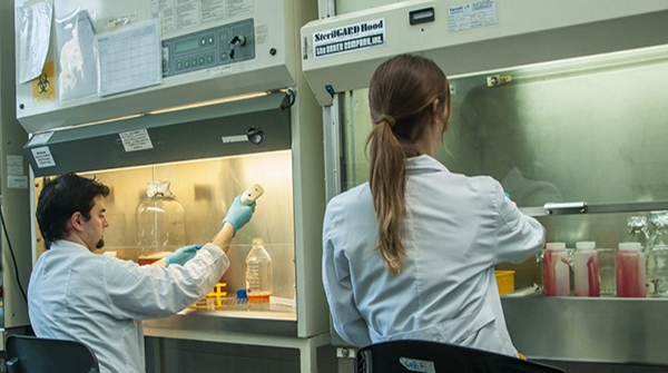  El Absolutismo de la Realidad (Universidad, sociedad y pandemia)