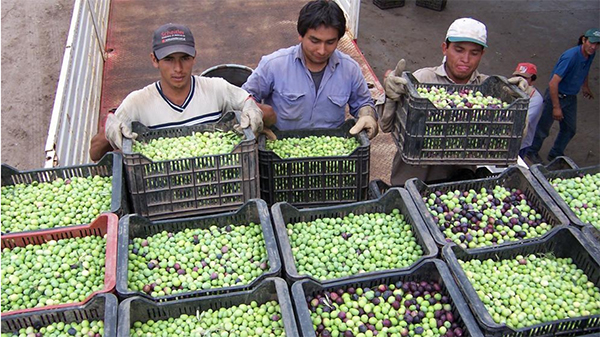  El trabajo en tiempos de la Covid-19