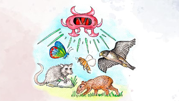  Tejiendo narrativas desde y con los virus