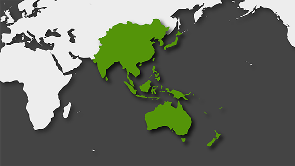  Reconfiguración del mapa del poder mundial: ascenso de Asia-Pacífico y el declive de Occidente