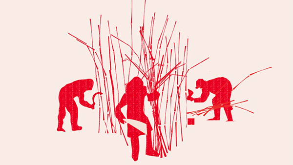  Trabajo agrario, desigualdades y ruralidades