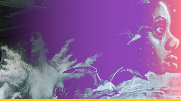  Derechos Humanos y consolidación de la paz