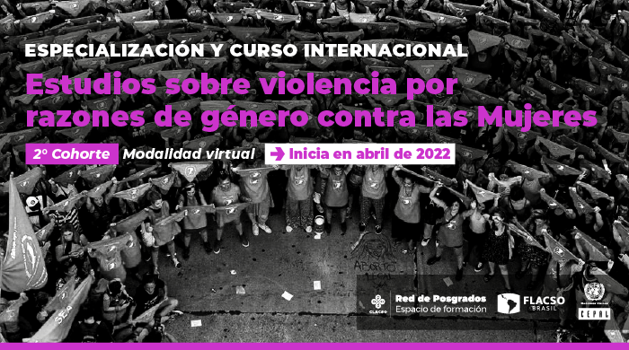  Estudios sobre violencia por razones de género contra las Mujeres