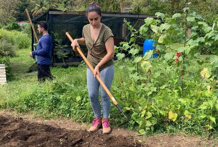  Puerto Rico y Colombia intercambian alternativas frente a la crisis climática
