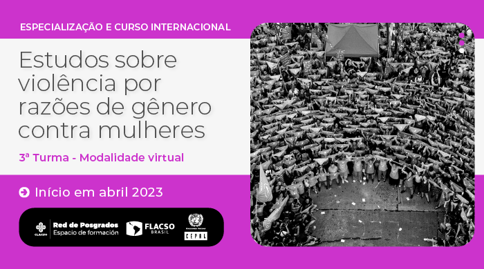 Estudos sobre violência por razões de gênero contra mulheres