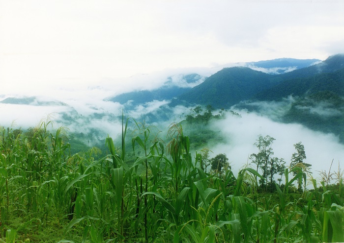  Ruralidades y transiciones políticas en Centroamérica y Colombia