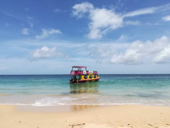  Crisis, respuestas y alternativas en el Gran Caribe