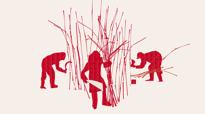  Trabajo agrario, desigualdades y ruralidades