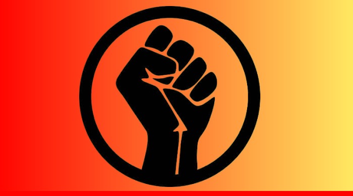  Afrodescendencias y propuestas contrahegemónicas