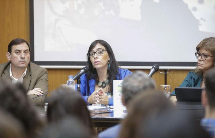  Se lanzó la Infraestructura de Cuidados en Argentina y América Latina