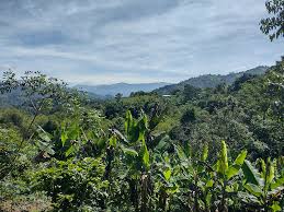  Ecuador, jóvenes del Chocó Andino resistiendo a la minería