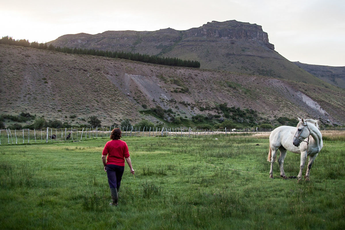  Argentina. El territorio como aula: la cátedra abierta del Movimiento Campesino e Indígena en Clacso