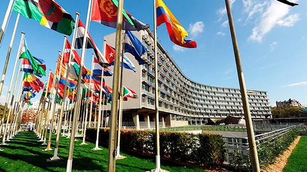  CLACSO nuevo integrante del Comité de Enlace ONG-UNESCO