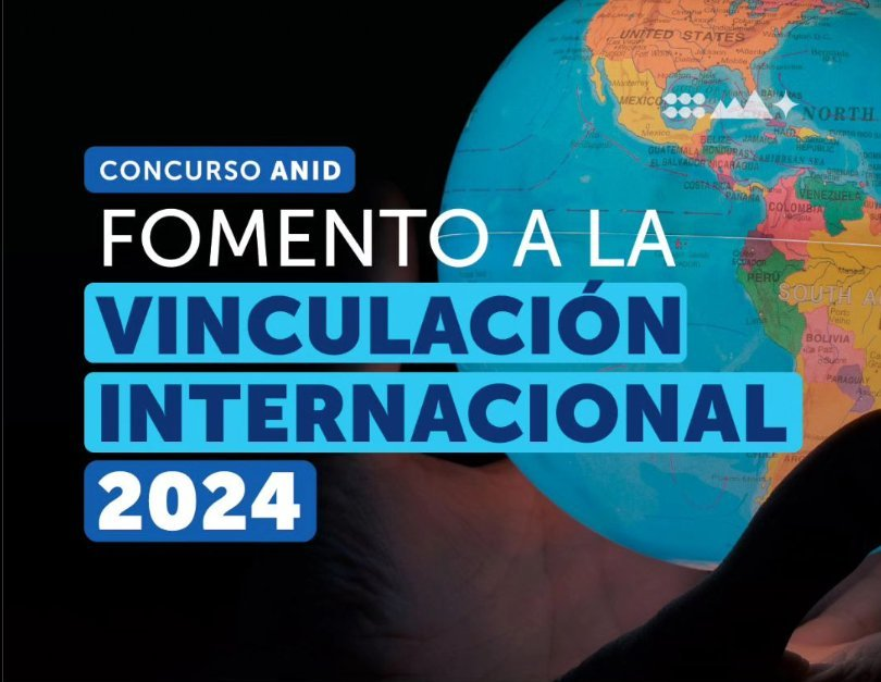  Coordinador de Doctorado en Educación adjudica proyecto de Fomento a la Vinculación Internacional de ANID